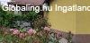 Tiszaf�ldv�ron elad� v�llalkoz�sra is alkalmas csal�di h�z!