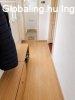 Abony egyik k�zponti, frekvent�lt r�sz�n k�n�lunk megv�telre
