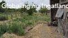 Elad� 60.00 nm-es Egy�b Pilis