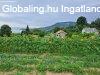 Eladó családi ház Badacsonytomaj, Örökpanoráma 4566 m2-es s Eladó családi ház Badacsonytomaj, Örökpanoráma 4566 m2-es s