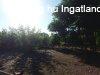 Elad� 120.00 nm-es Csal�di h�z Szatymaz