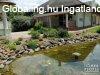 Elad� egy luxus csal�di  f�szek - Mak�