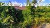 Elad� h�z a belv�rosban Mak�n