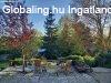 Piliscsaba, 284 m2, 239000000 HUF, 7 szoba [4425_443]