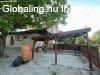 Elad� csal�di h�z Cs�kv�ron