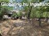 Elad� tanya Lajosmizse, 	Tanya-Sz�nt�-Erd�