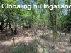 Elad� tanya Lajosmizse, 	Tanya-Sz�nt�-Erd�