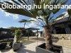 K��nleges aj�nlat!