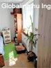Belv�rosban 3 szob�s h�zr�sz elad� - Debrecen