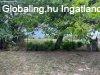 Angyali nyugalom, a b�ke sziget�n - P�tka