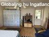 Balatonszabadiban családi ház eladó nagy telekkel! Balatonszabadiban családi ház eladó nagy telekkel!