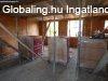 Megv�telre k�n�lunk Cegl�dbercelen egy��j�p�t�s�, H�SZIVATTY