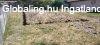 Elad� 102.00 nm-es �j �p�t�s� Csal�di h�z Pilis