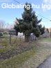 Elad� 98.00 nm-es Egy�b Mikebuda