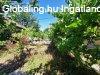 Elad� csal�di h�z Budakeszi, 	Sz�chenyi utca