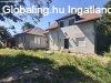 Elad� 170m2-es Csal�di h�z, G�d�ll�