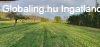 Elad� 60.00 nm-es Fel�j�tand� Csal�di h�z Hark�ny
