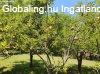 Elad� 60.00 nm-es Fel�j�tand� Csal�di h�z Hark�ny