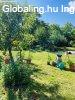 Vas megy�ben V�moscsal�don, 3 szob�s folyamatosan karbantart