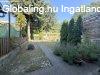 Elad�  Zalaegerszeg, 	F�kkal k�r�lvett, csendes r�sz�n