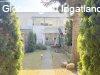 Elad�  Zalaegerszeg, 	F�kkal k�r�lvett, csendes r�sz�n