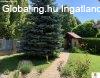 Piliscsaba, 260 m2, 299000000 HUF, 6 szoba [4425_447]