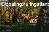 Cegléd mellett Mikebuda tanya, ősfás környezet, csend, nyuga Cegléd mellett Mikebuda tanya, ősfás környezet, csend, nyuga