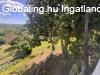 Elad� h�z, Zalaegerszeg
