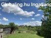 Elad� h�z, Nova