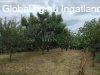 Elad� csal�di h�z Zs�mb�k, 	Z�rtkert
