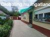 Elad� h�zr�sz Baja, 	Belv�ros k�zeli