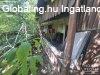 Szatymazon ház eladó! Szatymazon ház eladó!