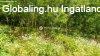 Eladó ház, Zalaegerszeg Eladó ház, Zalaegerszeg