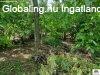 �rd, 75 m2, 60000000 HUF, 3 szoba [4138_955]