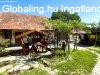 Elad� csal�di h�z Lov�szi, 	Csal�di h�z Szlov�nia hat�r�n