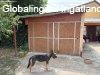 ELAD� CSAL�DI H�Z ABONYBAN ? NAGY TELEKKEL, K�T GAR�ZZSAL! -