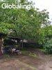 Abonyi csal�di h�z, k�t bej�rttal ak�r �zlet helyis�gnek is