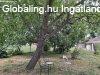 Elad� fel�j�tott csal�di h�z Mih�ldon