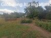 ELAD�! CSAL�DI H�Z LENGYELT�TI-TAT�RV�RON! - Lengyelt�ti