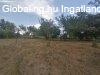 ELAD�! CSAL�DI H�Z LENGYELT�TI-TAT�RV�RON! - Lengyelt�ti