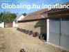 Csal�di h�z, K�T NAGY TELEKKEL elad� P�patesz�ren