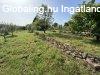 Elad� 870.00 nm-es Fel�j�tott H�zr�sz Cserk�t