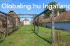 Eladó zártkerti ingatlan Tét?Ürgehegyen! Eladó zártkerti ingatlan Tét?Ürgehegyen!