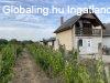 Elad� 49.00 nm-es Fel�j�tott Csal�di h�z Monor