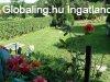 Elad� csal�di h�z Tam�si, 	Szarkahegy u.