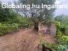 Elad� 30.00 nm-es Csal�di h�z Szeged