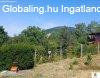 Pilissz�nt�, 80 m2, 75000000 HUF, 3 szoba, 2 f�lszoba [4425_