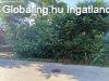 Elad� csal�di h�z Budapest, XVII. ker�let, 	Enzs�l Ell�k utc