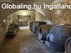 Elad� csal�di h�z Tornyiszentmikl�s, 	Csal�di h�z k�lt�zhet�