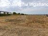 Elad� tanya Dunakeszi, 	Lovard�k k�zel�ben